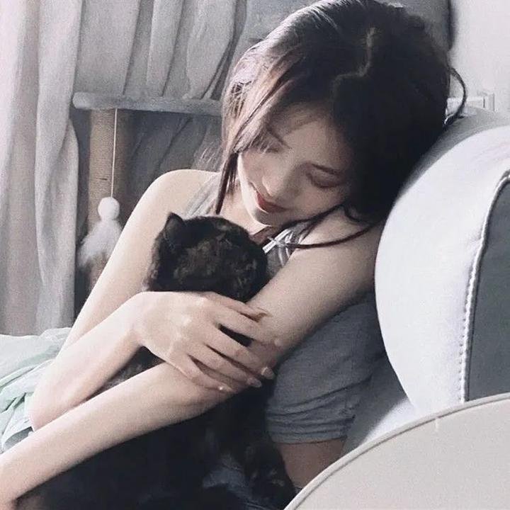 行动代号拿破仑封面