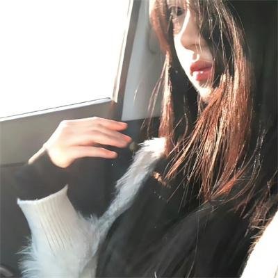 我的女友们封面